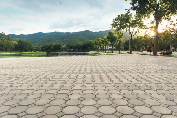 Best Driveway Paving Contractor  in , WY